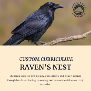 Raven's Nest