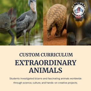Extraordinary Animals