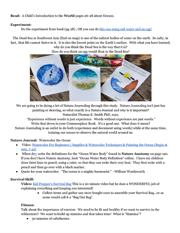 Let's Get Lost (Swiss Family Robinson Unit Study) - Image 2