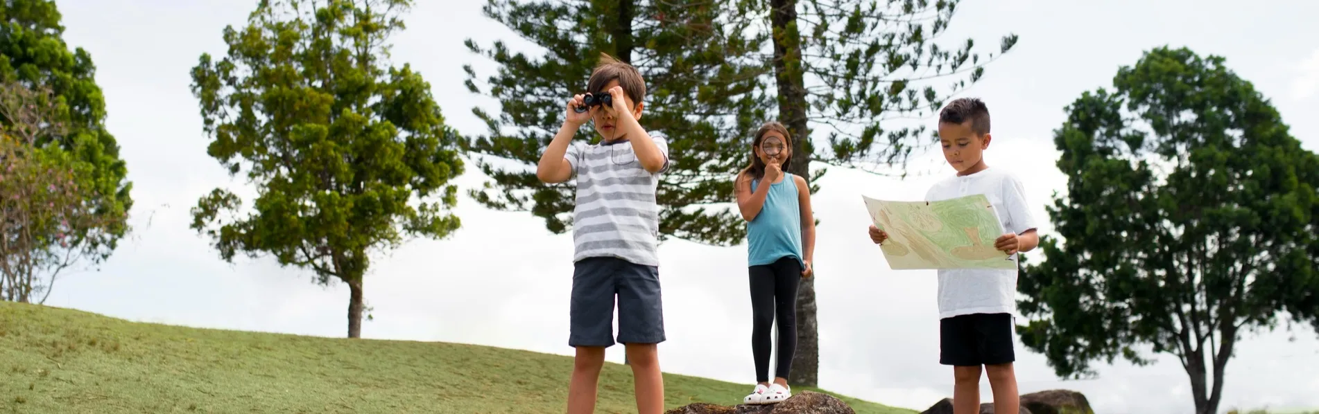 Multi-Age Learning Accelerates Growth in Homeschool Co-ops