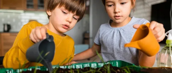 foundation class collage